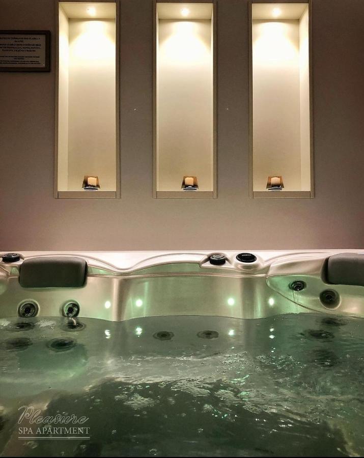 Spa Pleasure Apartman Novi Sad Esterno foto